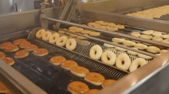 satın al Modüler Hamur Açma Sistemi ile Yüksek Otomasyon Donut Üretim Hattı Çevrimiçi üretim